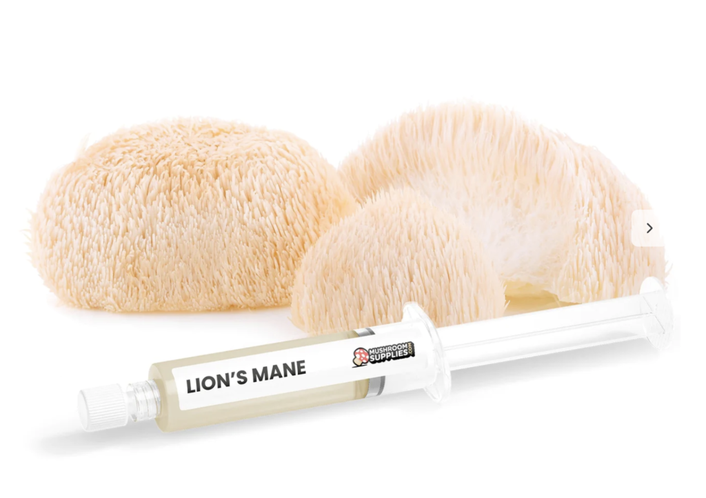 Unlocking Lion's Mane Spiritual Benefits